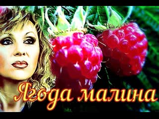 Ягода малина 🌼🐞✨🌺✨⊱•╮валентина легкоступова ╭•⊰✨🌺✨🦋🌼