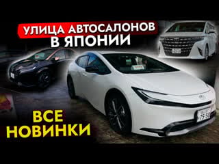 Улица автосалонов в японии❗ новинки от toyota | топовый alphard | новый crown | toyota prius 2023
