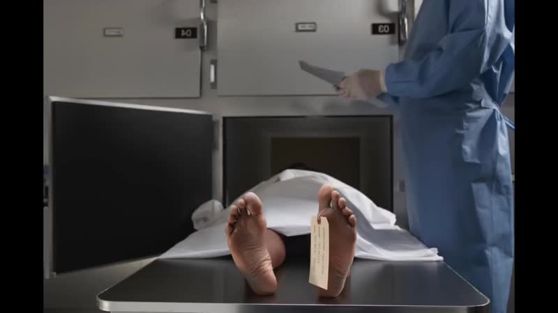 Морг один день из жизни работника морга