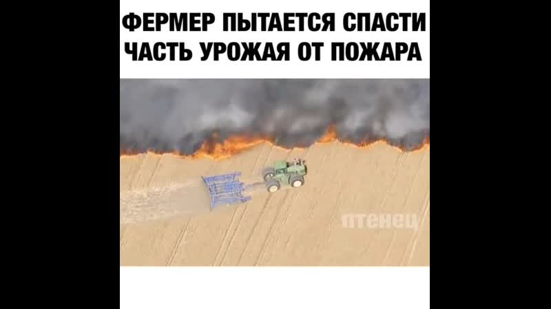 Не стал поддаваться панике 👏🏻🤭😎
