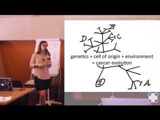 Биоинформатические подходы к изучению и лечению рака на примере рака легких мария шутова