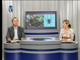 Биология урок 9 ядовитые насекомые