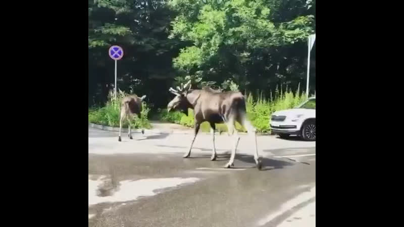 Архивы порно видео снял двух проституток - Проститутки в Москве