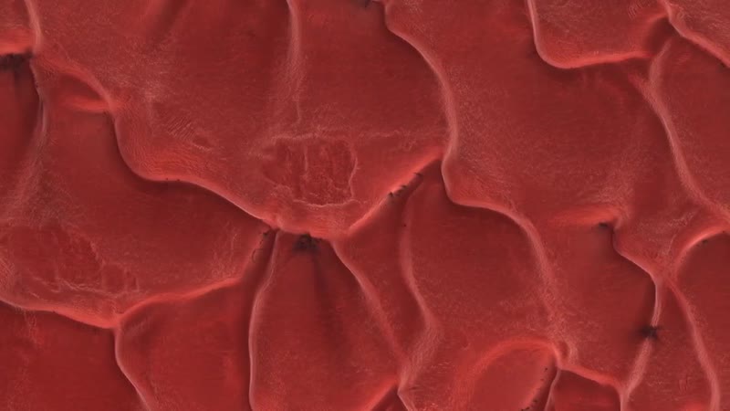 Снимки планеты марс cо спутника