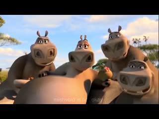 There's no reasonable explanation for this