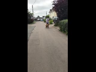 Сториз иззи