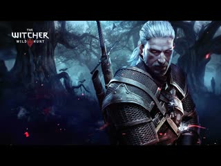 The witcher 3wild hunt предпоследняя сложность