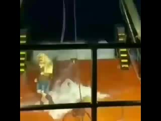 Tag your crazy shipmate sweat smile black small square ️ black small square ️ jack o lantern follow @thelegendarysailor for