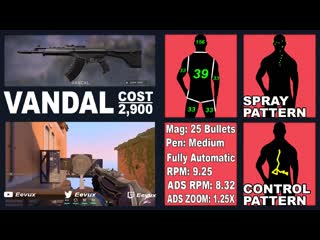 Vandal animated infographic