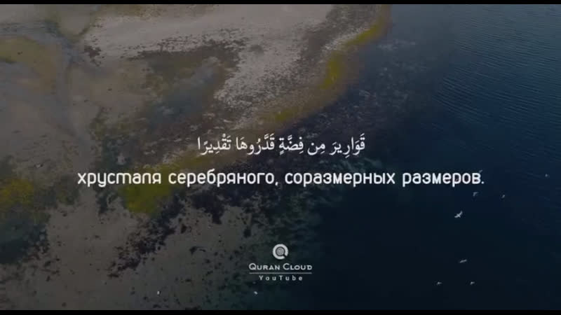 الإنسان | omar hisham