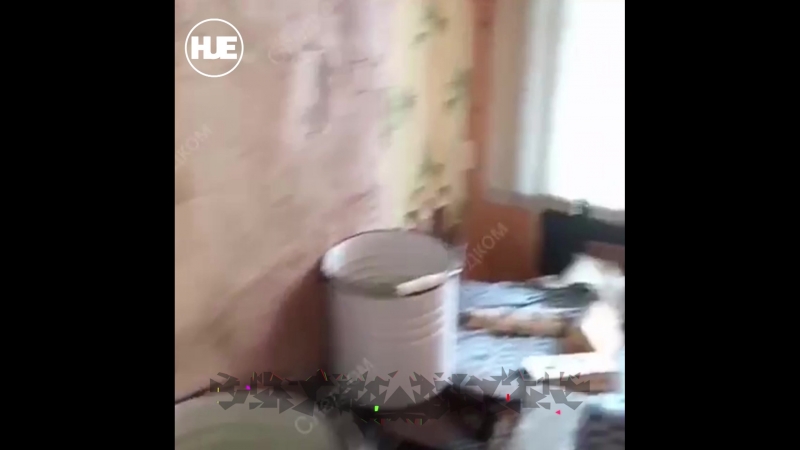 В ленинградской области 21 летнего парня молодые и расчленили труп