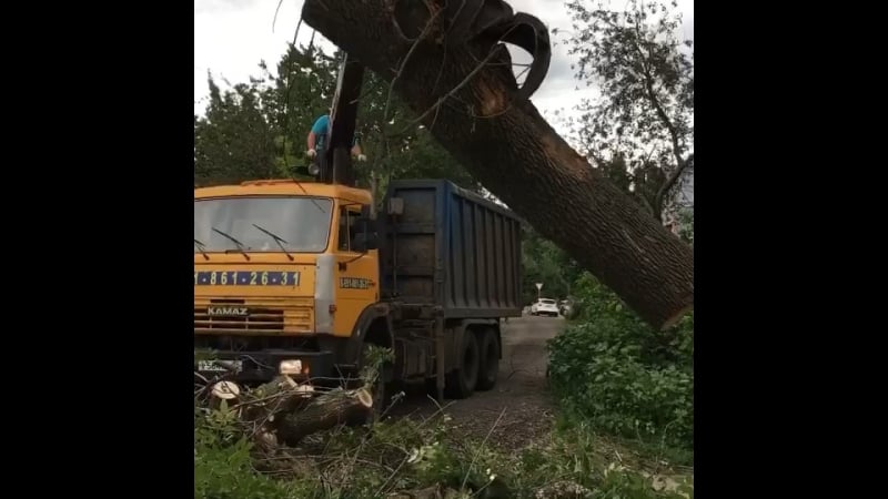 Спиливание, удаление деревьев, кустарника, расчистка участков, покос травы и вывоз любой сложности! 👍 ☎ 8 920 211 76 22
