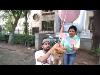 Привязал своего пиздюка к шарам и запустил его в небо