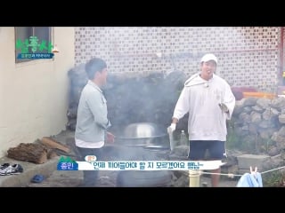 170619 olivetv "island trio" preview