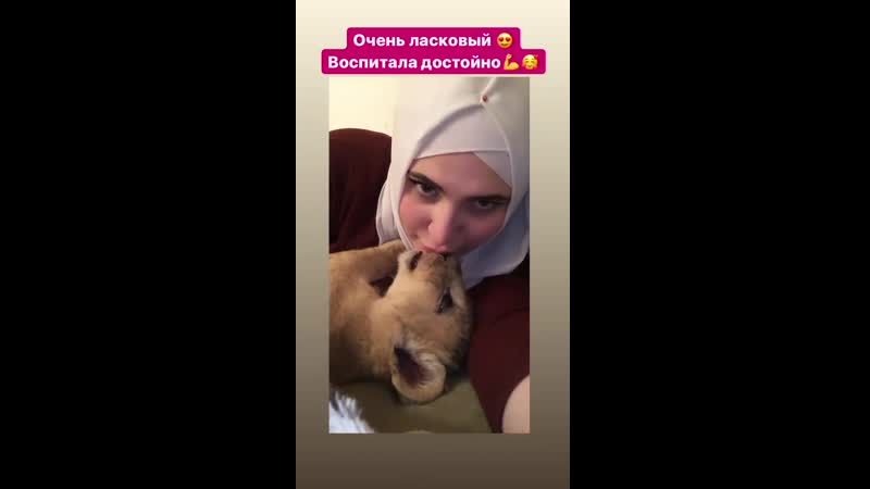 Блогерша в хиджабе поцеловала льва взасос