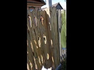 /storage/0000 0000/dcim/camera/