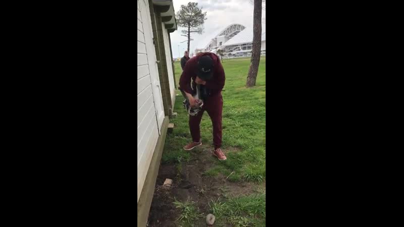 Фото с обезьянкой ценой пыток и гибели молодые фотограф избивает обезьяну на олимпийской набережной сочи 2017