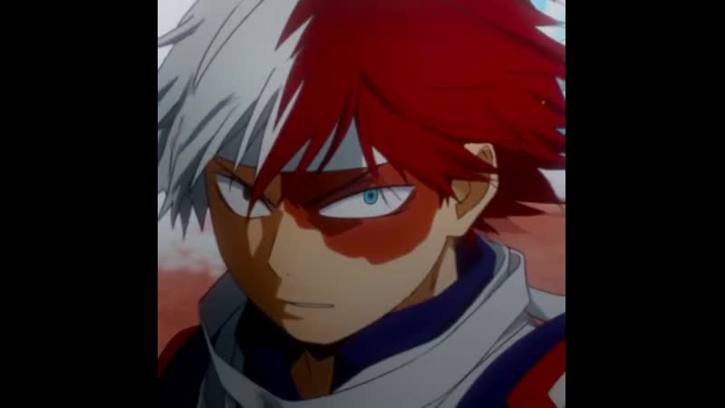 [bnha] todoroki shouto