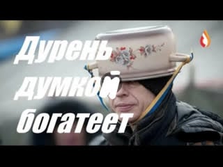 Дурень думкой богатеет