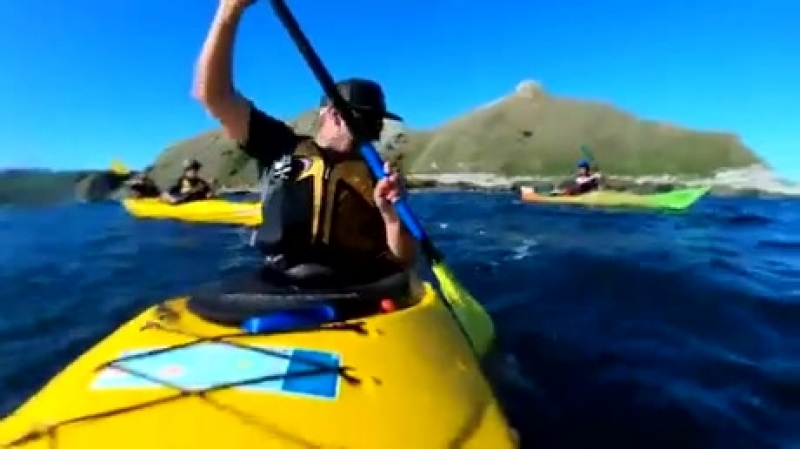 Тюлень дал леща осьминогом (vhs video)