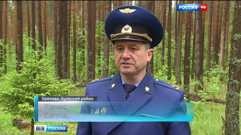 Волонтеры идут на помощь подмосковным лесникам