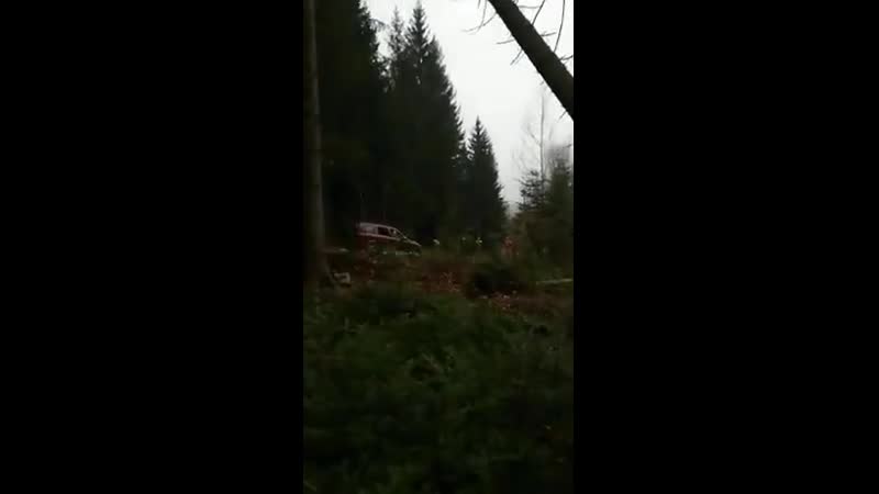 Лесоповал mp4