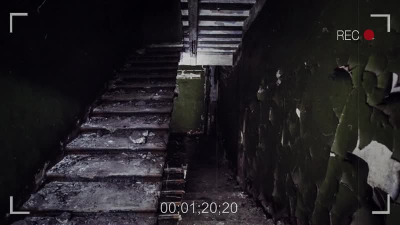 [testosterone top] ужас за дверью казармы реальная история из армии