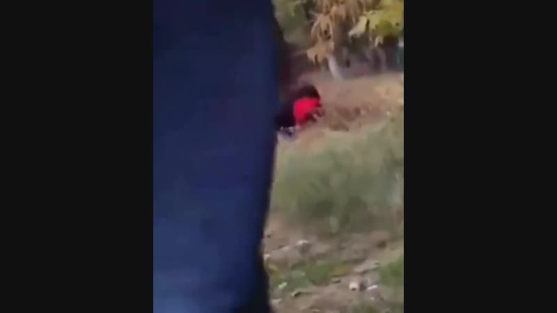 Хипиш [mdk dagestan]