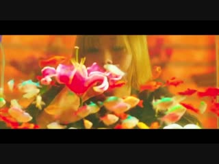 Tfw moomoos attempt to put the wind flower solo teasers together and it already sounds lik