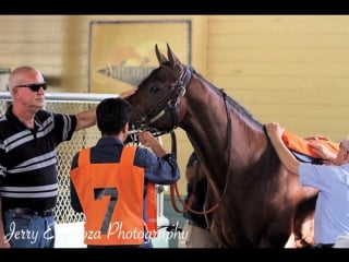 Battle of midway обучения в sa к sa derby