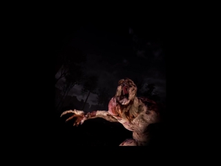 Brookehaven experiment