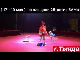 Шоу цирк шапито "анастасия" 17 19 мая в тынде! 8 924 674 13 07