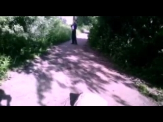 Perfect shot from kostroma