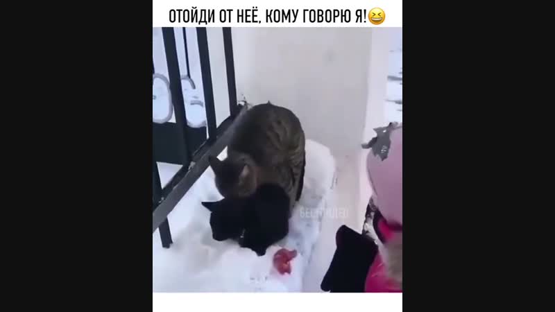 Отойди от нее, кому говорю я!
