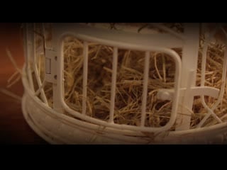 Kuda techet more 2018