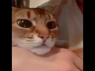 200925, daniel k here instagram update