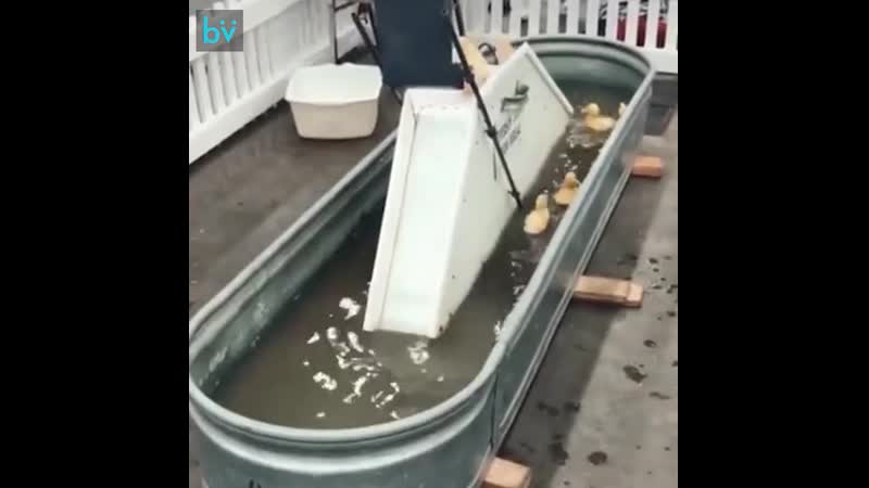 Аквадискотека