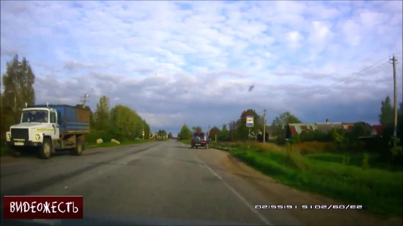 Идиотизм высшего уровня © видеожесть