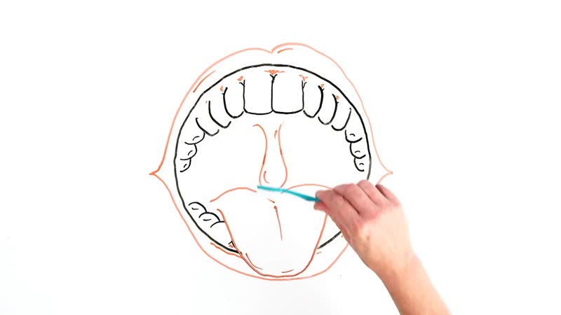 Как правильно чистить зубы видео
