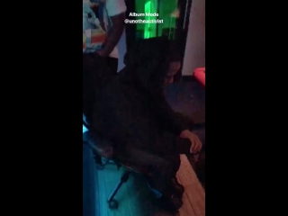 Unotheactivist untitled (snippet)