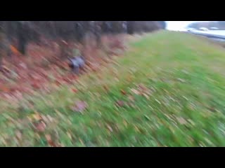 Vid 20171028 144315 mp4