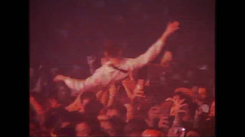 Pinkflamingousa collection 2 (a$ap rocky, playboi carti, sheck wes, ian connor &amp; chief keef)