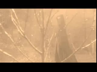 "i can be cruel" bellatrix/tom riddle