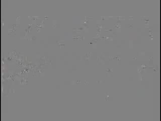 Avec daphne les paradis perdus