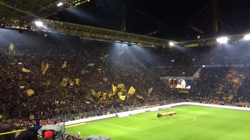 Фаны боруссии