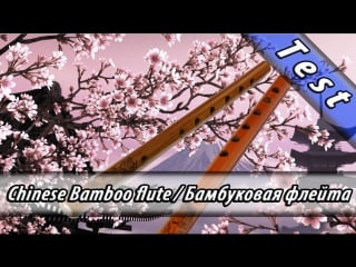 Test chinese bamboo flute / китайская бамбуковая флейта aliexpress