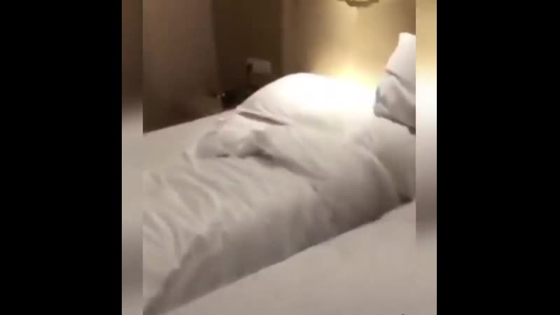 Приземлилась