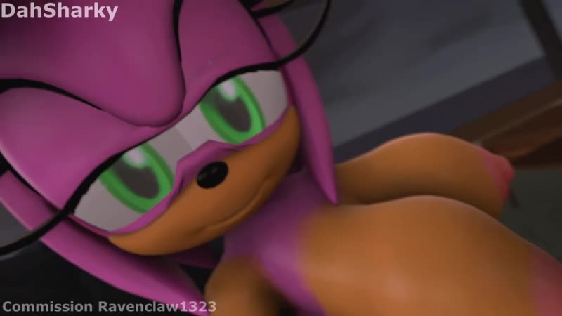 Sonic the hedgehog [amy rose, rouge the bat]