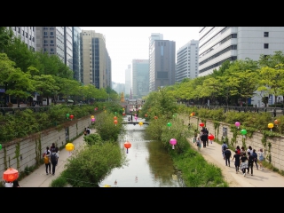 Фестиваль лотосовых фонариков часть 3, в ожидании оксаны