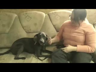 Vid 20201218 122103(0) mp4